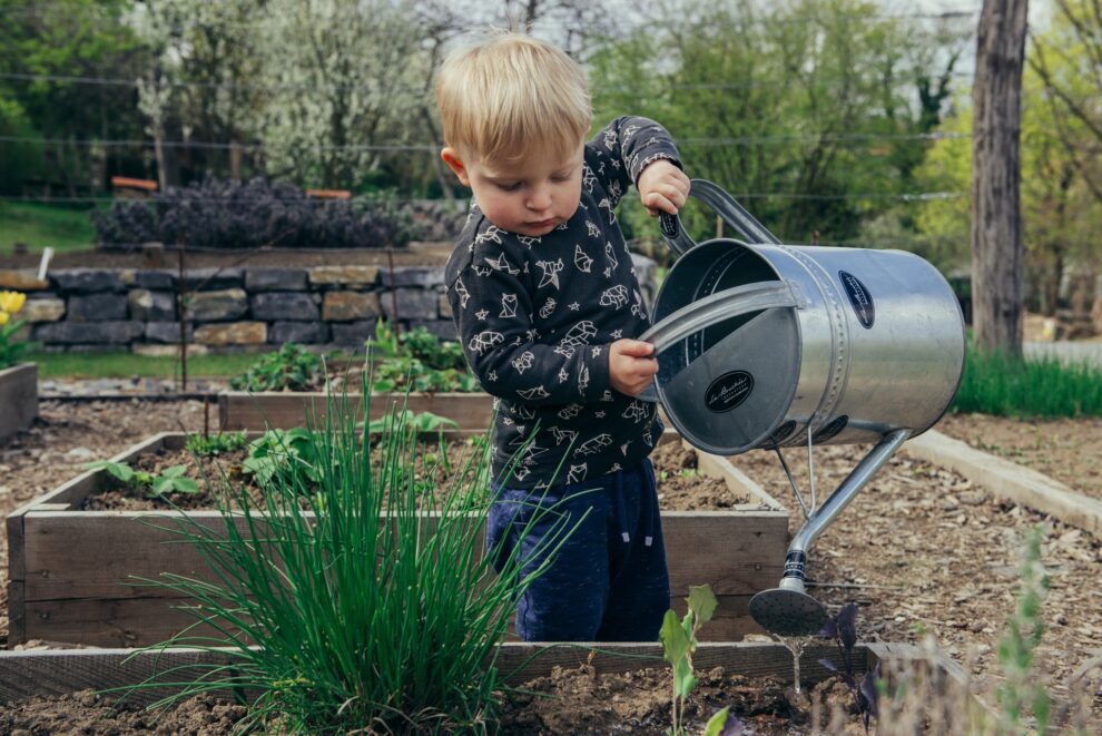 "Young child watering plants, symbolizing early financial education and savings.